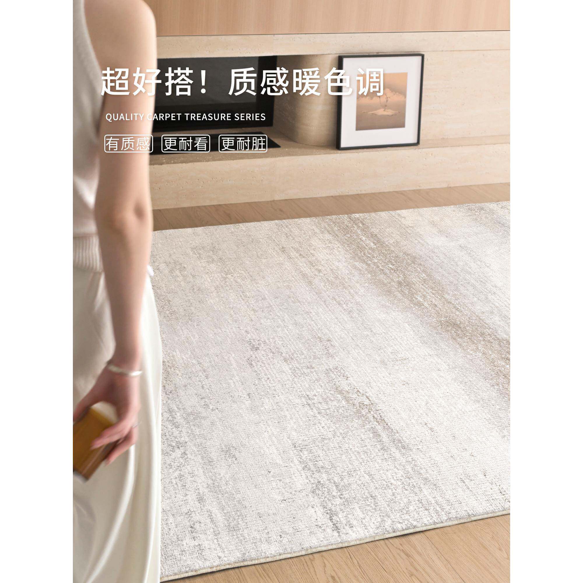 地毯客厅2025新款轻奢高级感免洗可擦免打理现代简约防水沙发地垫