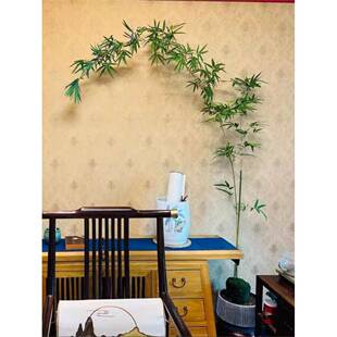 大型飘枝绿观音竹四季好养庭院室内茶室桌面水培空间造景绿植盆栽