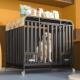 狗笼子大型犬带厕所中型犬狗笼室内金毛拉布拉多加粗加固宠物狗笼