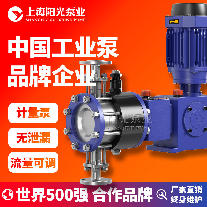 DY-Z型液压隔膜式计量泵高压计量泵耐腐蚀计量泵型号,五金/工具,增压泵,淘宝优惠券,粉丝福利购,淘宝优惠卷