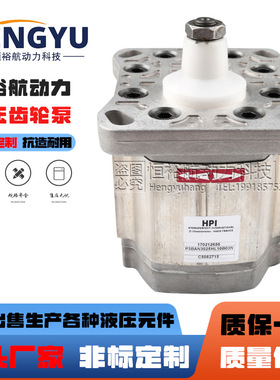 HPI齿轮泵P3BAN3025HL10B03N P2AAN3060HL20A02N P1BAN2012液压泵