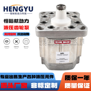 HPI齿轮泵P3BAN3025HL10B03N P1BAN2012液压泵 P2AAN3060HL20A02N