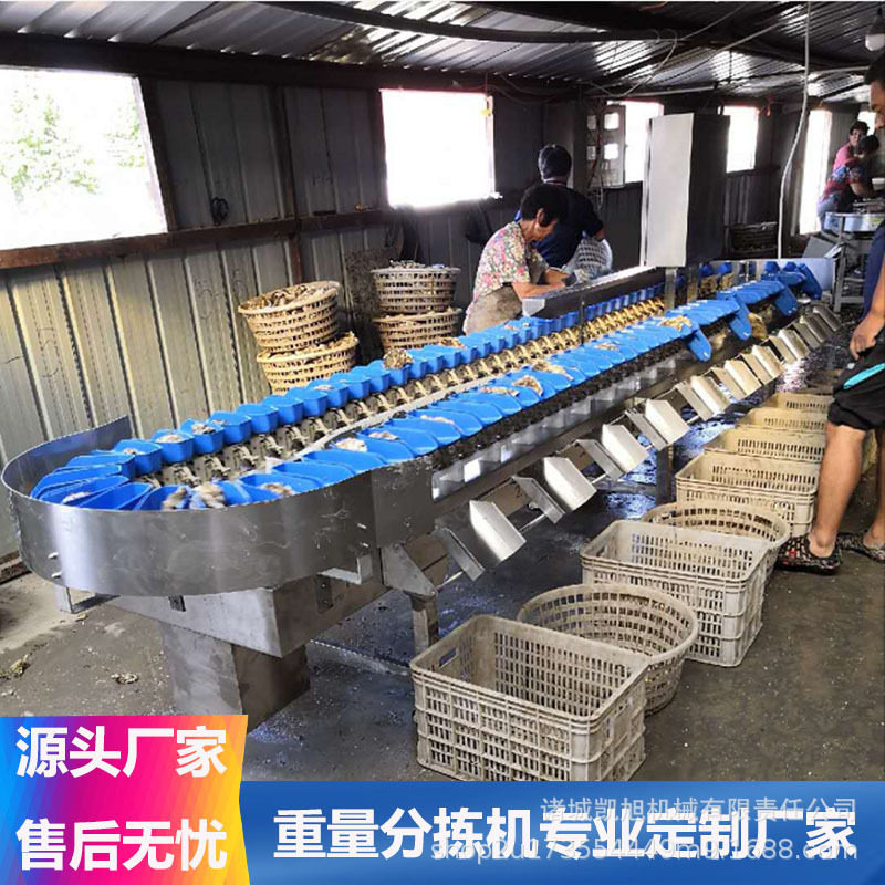 白条鸡白条鸭自动重量检测分拣机鸡腿鸭腿称重分级分选机凯旭