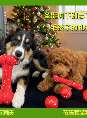 协贝圣诞新年宠物玩具咬不坏骨头磨牙棒耐咬洁牙ETPU玩具套装
