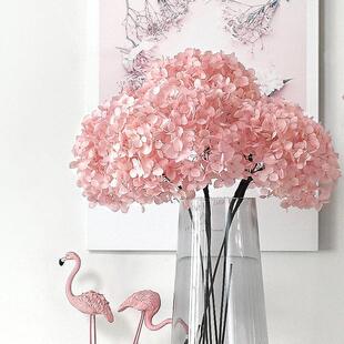 绣球干 干燥花花束真花鲜花干 干燥花真花永生花干 干燥花带花瓶