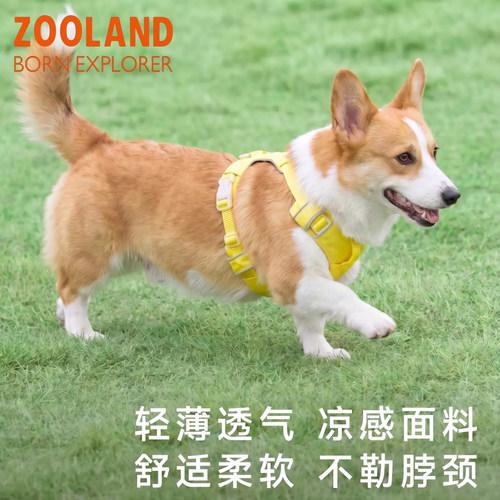 Zooland狗狗胸背牵引绳轻透可调节工字型狗胸背带中小型犬防爆冲