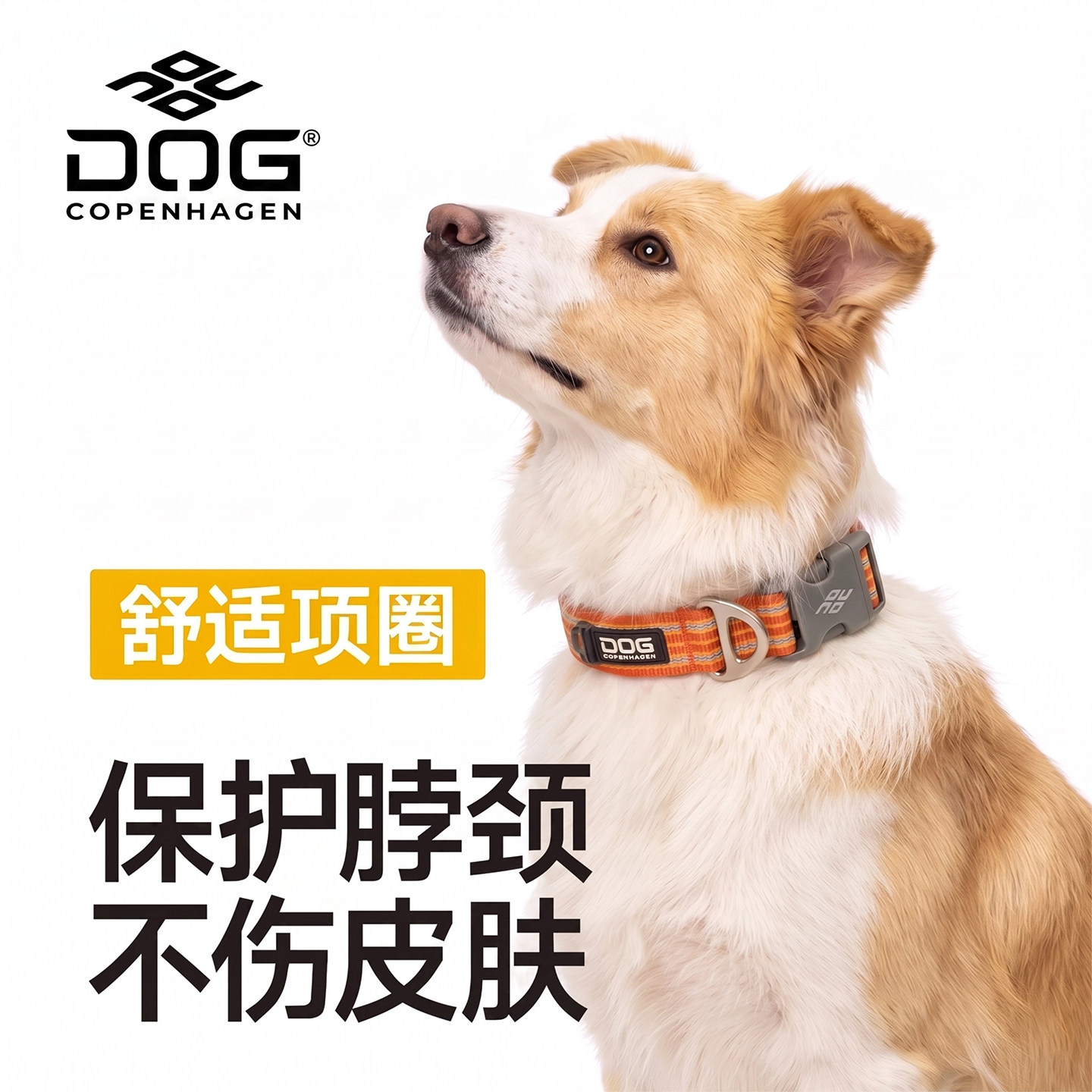 哥本哈根项圈Style3.0嗨轻脖圈Dog Copenhagen狗项圈狗狗柴犬