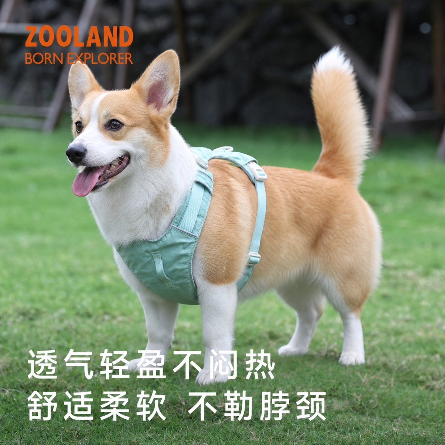 zooland胸背宠物狗狗牵引绳防爆冲遛狗小中大型犬工字胸背带外出图片