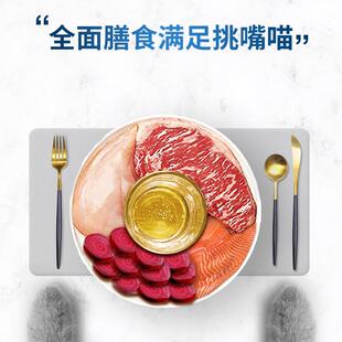 派泰得猫粮10全kg牛肉味英短美短橘猫成国猫DQR幼猫阶段宠物粮20