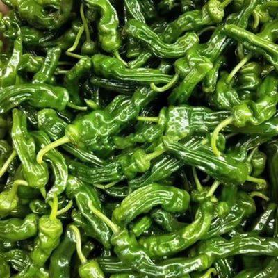 螺丝椒枣庄皱皮辣椒薄皮辣椒现摘发货更适合炒辣子鸡 顺丰包邮