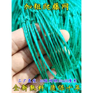 爬藤网攀爬网瓜蒌葡萄丝瓜吊瓜尼龙网黄瓜大棚百香果植物爬藤网