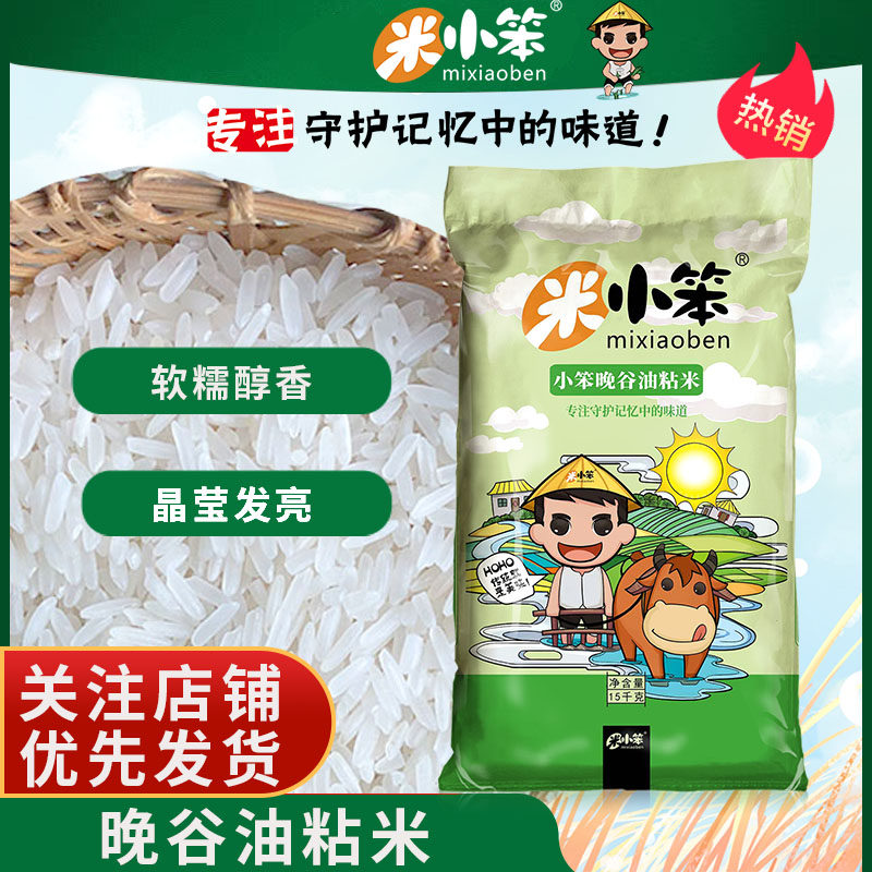 米小笨小笨晚谷油粘米30斤大包装家庭装晚稻籼米软糯香甜