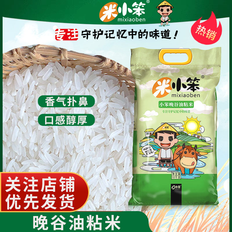 米小笨小笨晚谷油粘米20斤装南方大米长粒香米家庭实惠装