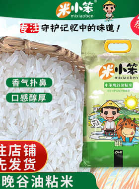 米小笨晚谷油粘米20斤