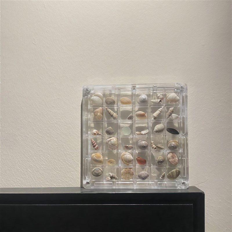 贝壳盒子收d纳盒亚克力透明微型石头海边相框展示收藏昆虫收集,家居饰品,海螺/贝壳/珊瑚,淘宝优惠券,粉丝福利购,淘宝优惠卷
