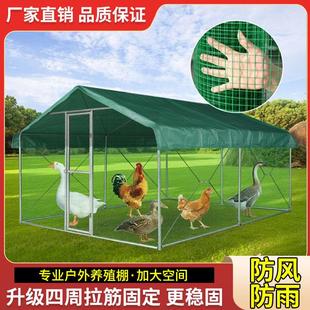 户外鸡棚鸡笼子养鸡鸭鸽笼家禽大型孔雀篷遮雨鸡舍搭建家用养殖笼