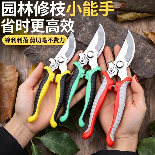 修枝剪花剪枝园艺剪刀省力修剪树枝果树竹签园林花卉专用花艺剪子