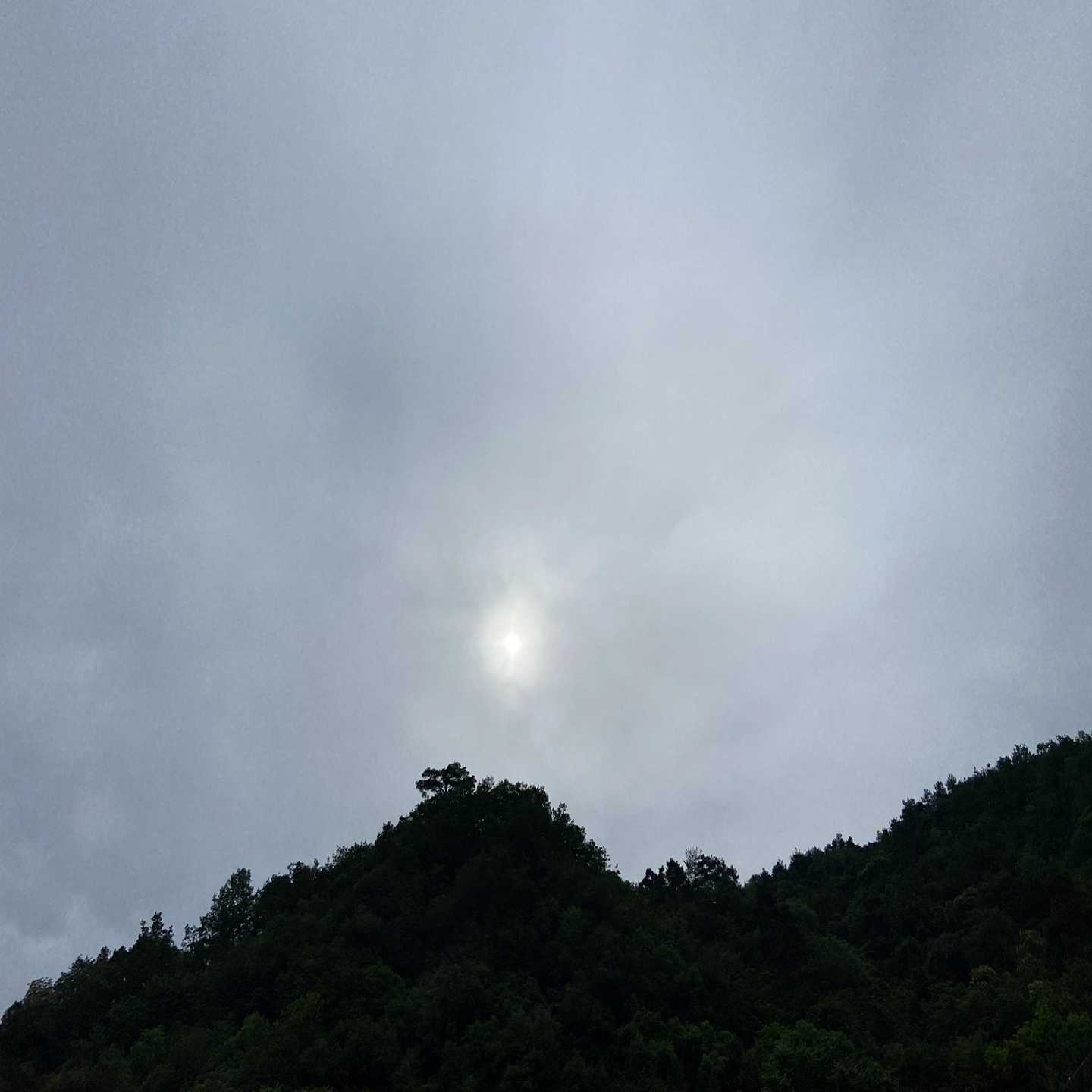 6ES7157-0AC83-0XA0W年份，10台询价