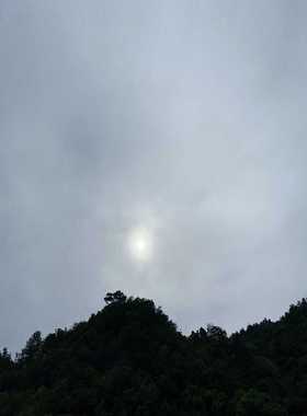 6ES7157-0AC83-0XA0W年份，10台询价