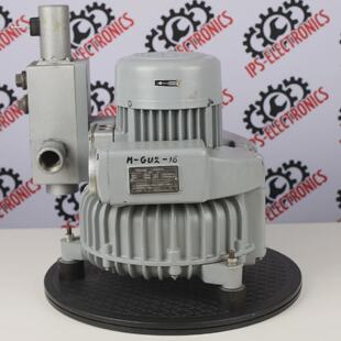 WERLE  RIETSCHLE SKS25320 56 1019615613 POMPA VUOTO  6 mesi