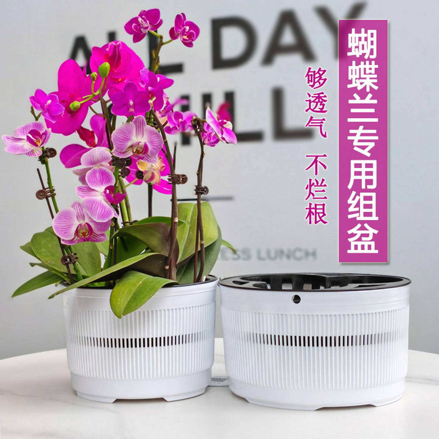 小盆栽花卉绿植拼装组盆专用花盆蝴蝶兰多肉防烂根功能性多孔花钵