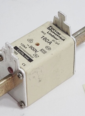 议价Ferraz Shawmut Lindner Sicherung Nh2 GlGg 160A 1B269 Y21