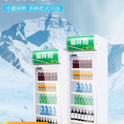 食品留样柜冷藏保鲜幼儿园带锁餐厅食堂单门家用冰箱商用展示柜
