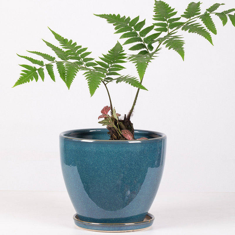 桌面花盆陶瓷特大号带托盘创意绿植绿萝多肉蝴蝶兰盆景盆特价
