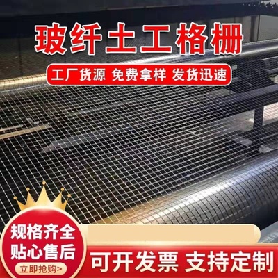 双向单向塑料钢塑土工格栅养殖公路铁路路基土工格栅加筋稳固用