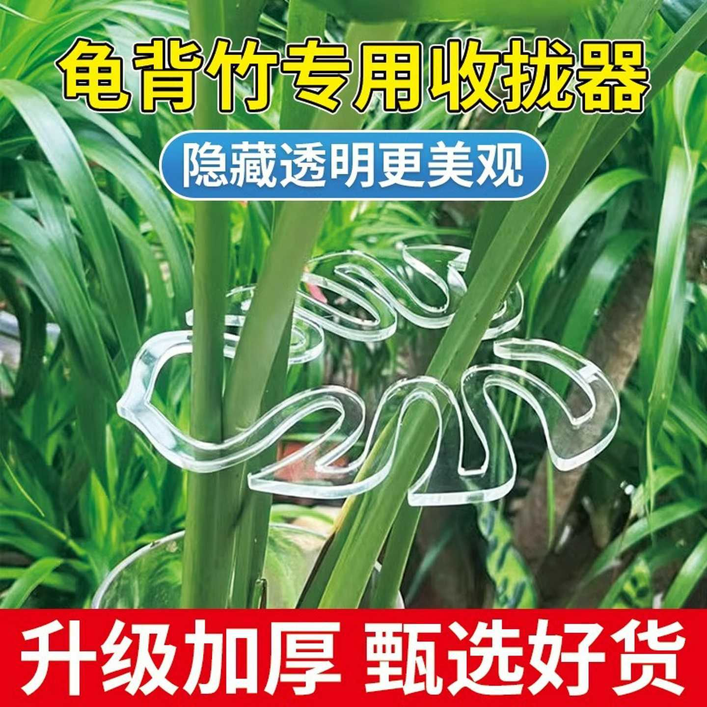 龟背竹支撑杆防倒伏春雨支架固定器绿植物水培枝干花盆架园艺花卉