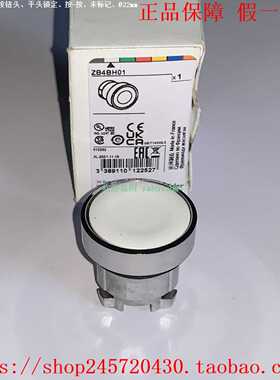 ZB4BH01ZB4BH02ZB4BH03ZB4BH05/BH06施耐德锁定按钮头