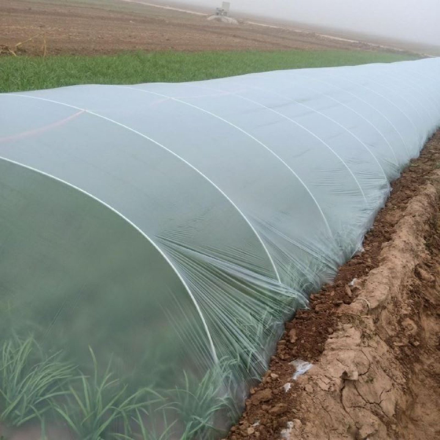 大棚骨架立柱玻璃纤维遮阳棚支架瓜果爬藤立柱生蚝养殖排支撑架杆,鲜花速递/花卉仿真/绿植园艺,其它园艺用品,淘宝优惠券,粉丝福利购,淘宝优惠卷