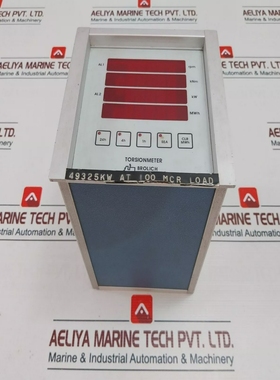 BrolichTorsionmeter49325kwAt100McrLoad