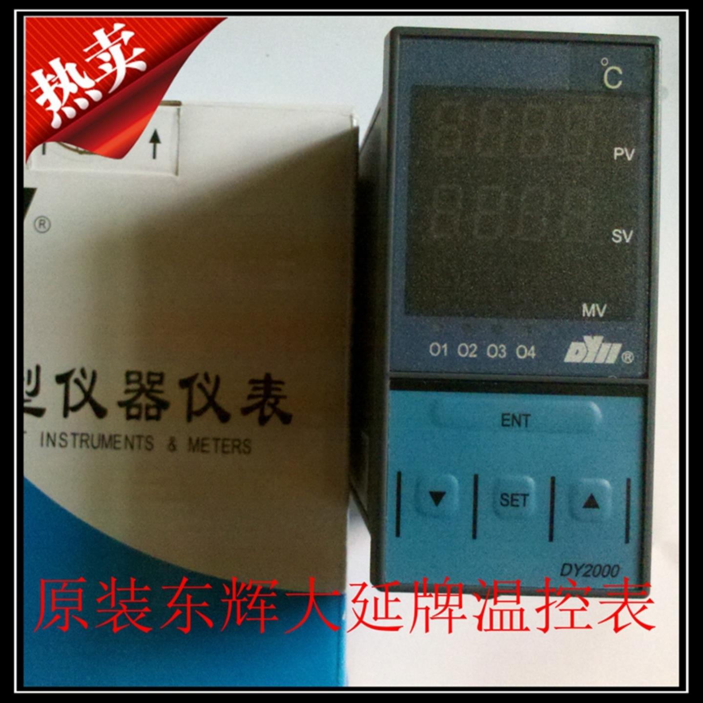 原装东辉大延牌温控表DY2000系列DY28D0108 DY29D01084