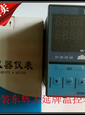 原装东辉大延牌温控表DY2000系列DY28D0108 DY29D01084