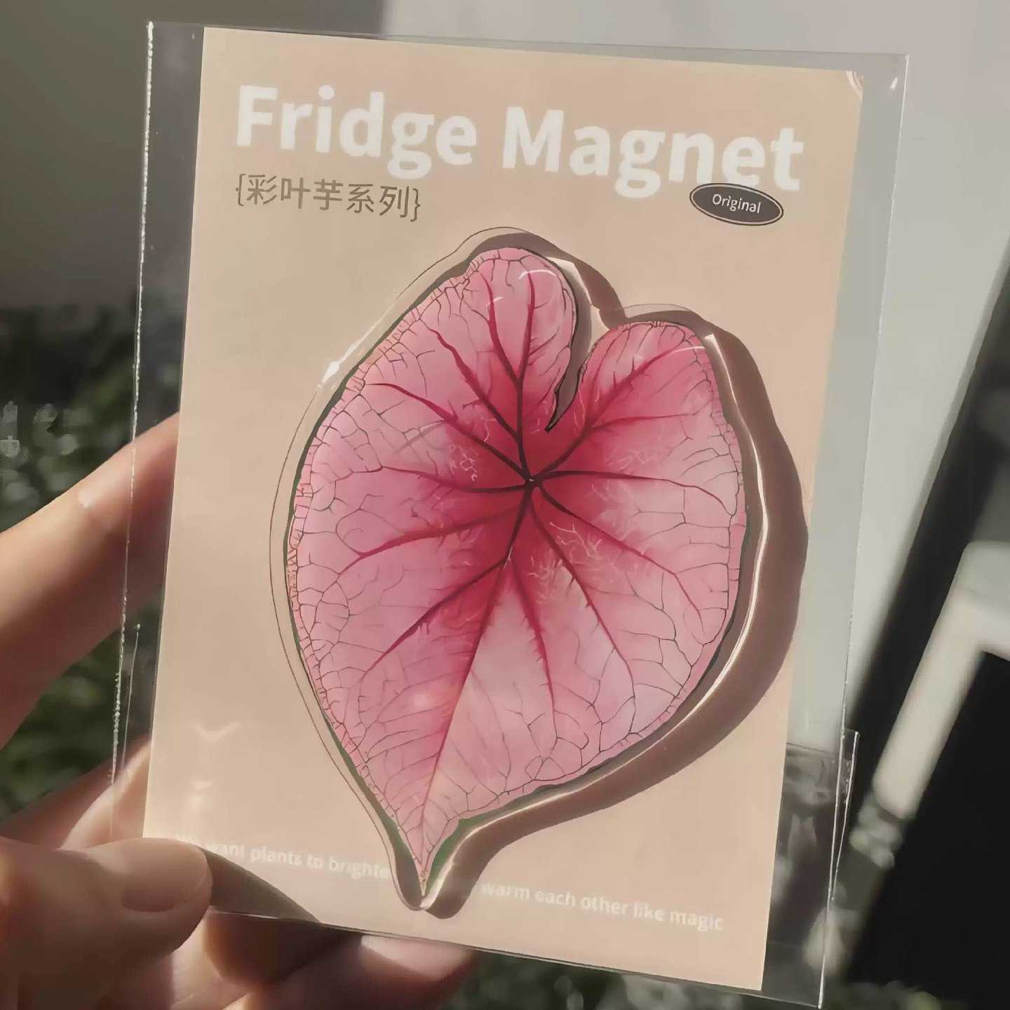 热带珍稀植物磁吸冰箱贴插画创意冰箱磁贴夏季冰箱磁贴定制