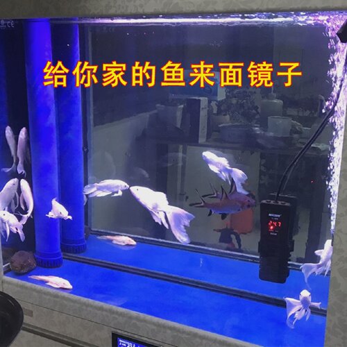 软镜子贴墙自粘鱼缸水族箱鱼照镜子斗鱼可弯曲裁剪增强灯光反光