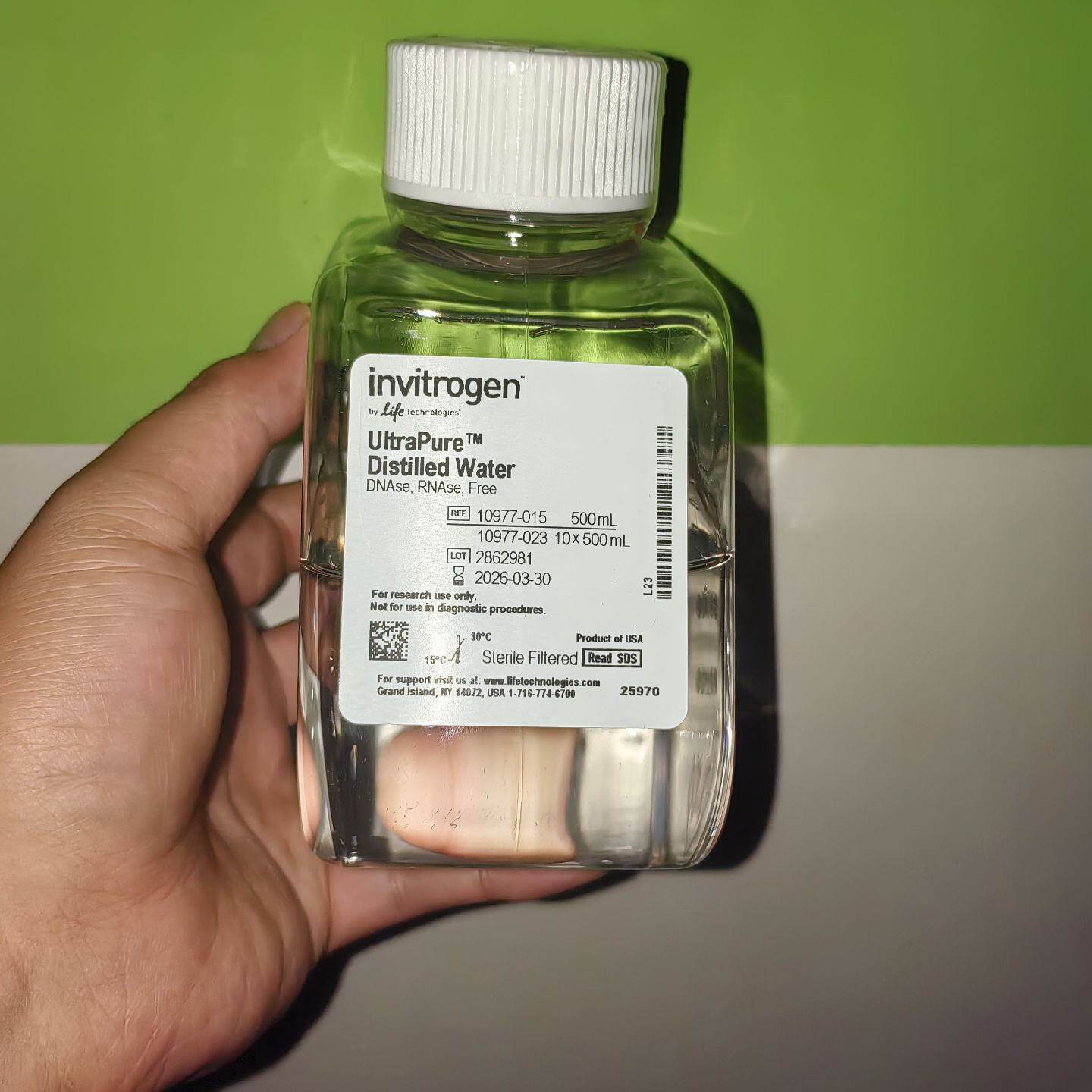 议价赛默飞无核酸酶水invitRogen distilled water 10977015 1097 - 实物图