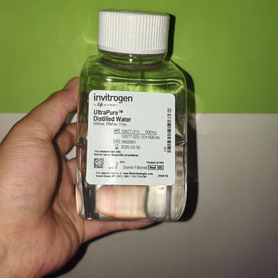 议价赛默飞无核酸酶水invitRogen distilled water 10977015 1097