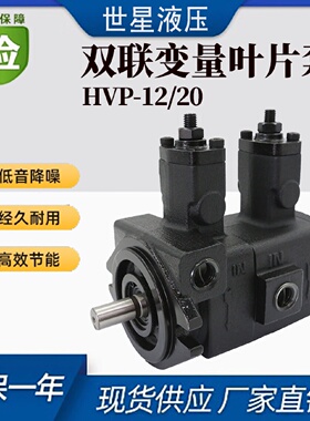寻I双联变量叶片油泵VPSF2020D20D20D30D30D4040D台湾安颂款
