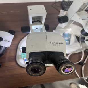 奥林巴斯SZ61议价 电子设备