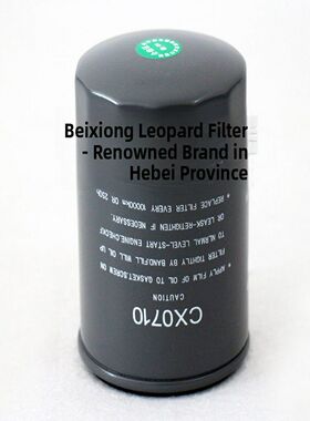 CX0710适用6105福田江淮货车4110柴油发动机6110滤芯4113柴滤清器