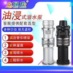 QY不锈钢大流量油浸泵三相喷泉泵家用农用园林抽水泵耐腐蚀潜水泵