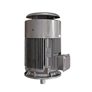 100L2 鴻泰交流三相異步電機YE3 43KW380V工作制S1結(jié)構(gòu)緊湊