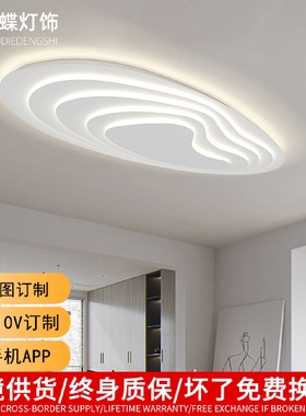 现代简约led客厅灯饰家用个性铁艺卧室灯LED吸顶灯