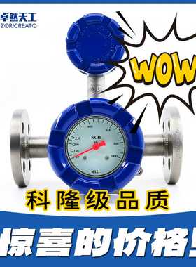 不锈钢防爆靶式流量开关控制器工业管道用感应远传报警水流量计