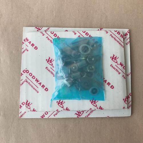 WOODWARD 8934306 Kit Fr berholung Und Reparatur Des Governor