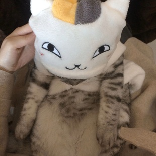 秋天 可爱猫咪老师柔软保暖秋冬装 新款 2025小狗狗衣服动漫同款