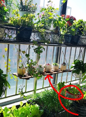 I1阳台栏杆花架悬挂窗户置物架防盗窗挂式多肉花架室内窗台置物搁