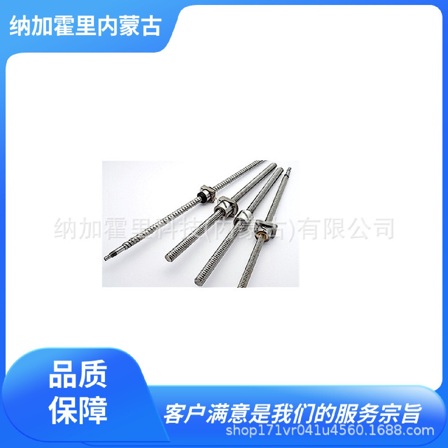 TSK竹内精工滚珠丝杠PBST2010C3T-2.5-399/499/599/699/799